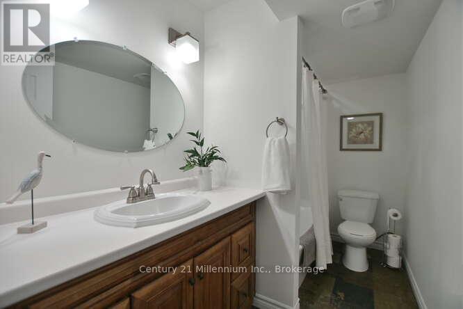 117 Stanley Street, Collingwood, Ontario  L9Y 0G3 - Photo 39 - S11996553