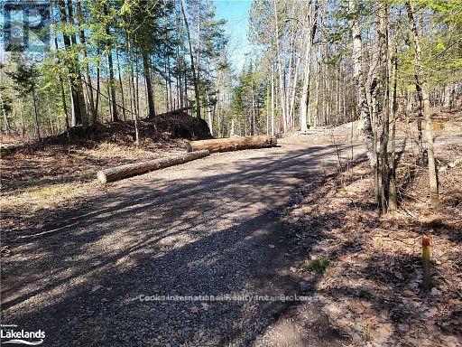 0 Highway 35 Highway, Lake Of Bays, Ontario  P0A 1E0 - Photo 11 - X11996909
