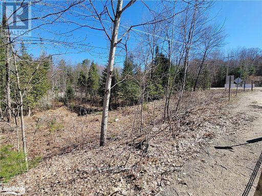 0 Highway 35 Highway, Lake Of Bays, Ontario  P0A 1E0 - Photo 36 - X11996909