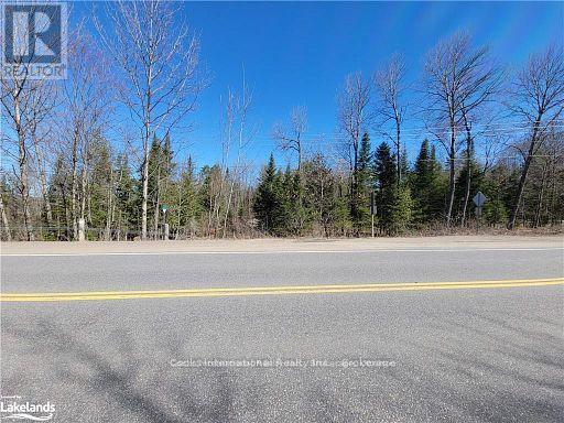 0 Highway 35 Highway, Lake Of Bays, Ontario  P0A 1E0 - Photo 37 - X11996909