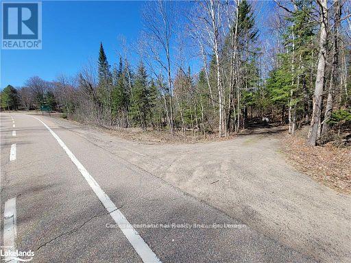 0 Highway 35 Highway, Lake Of Bays, Ontario  P0A 1E0 - Photo 8 - X11996909