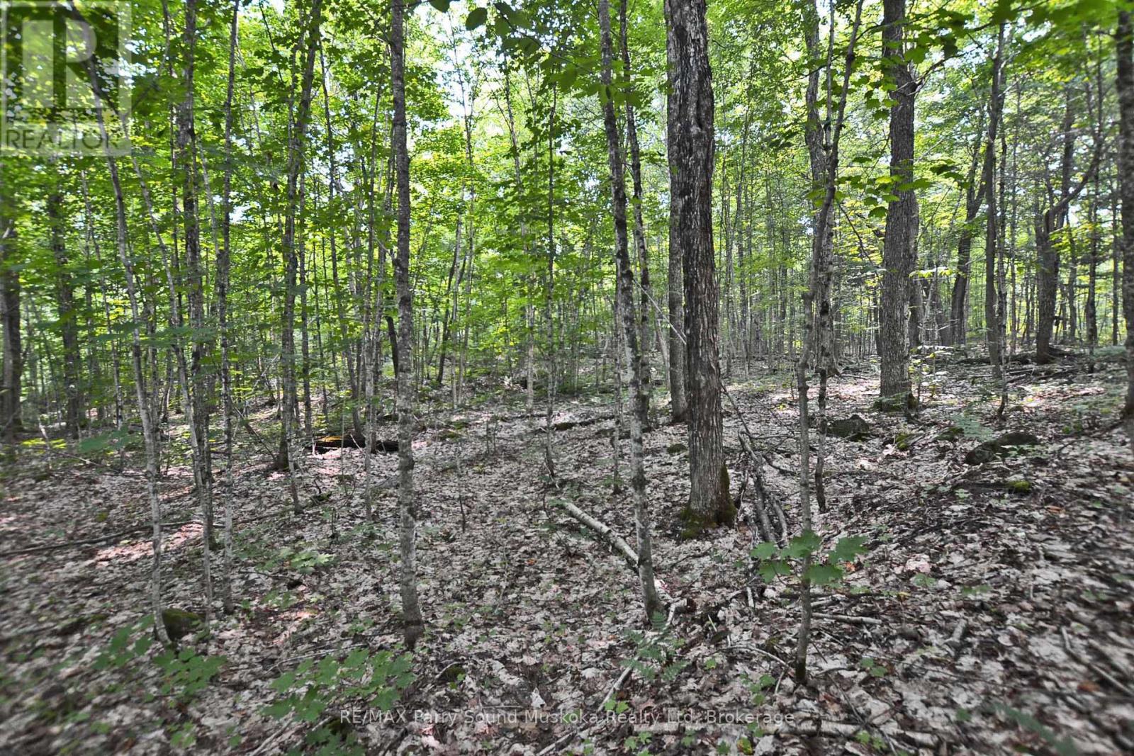 Part 1 - 0 Lyndsey Lane, Mckellar, Ontario  P2A 0B5 - Photo 15 - X11997179