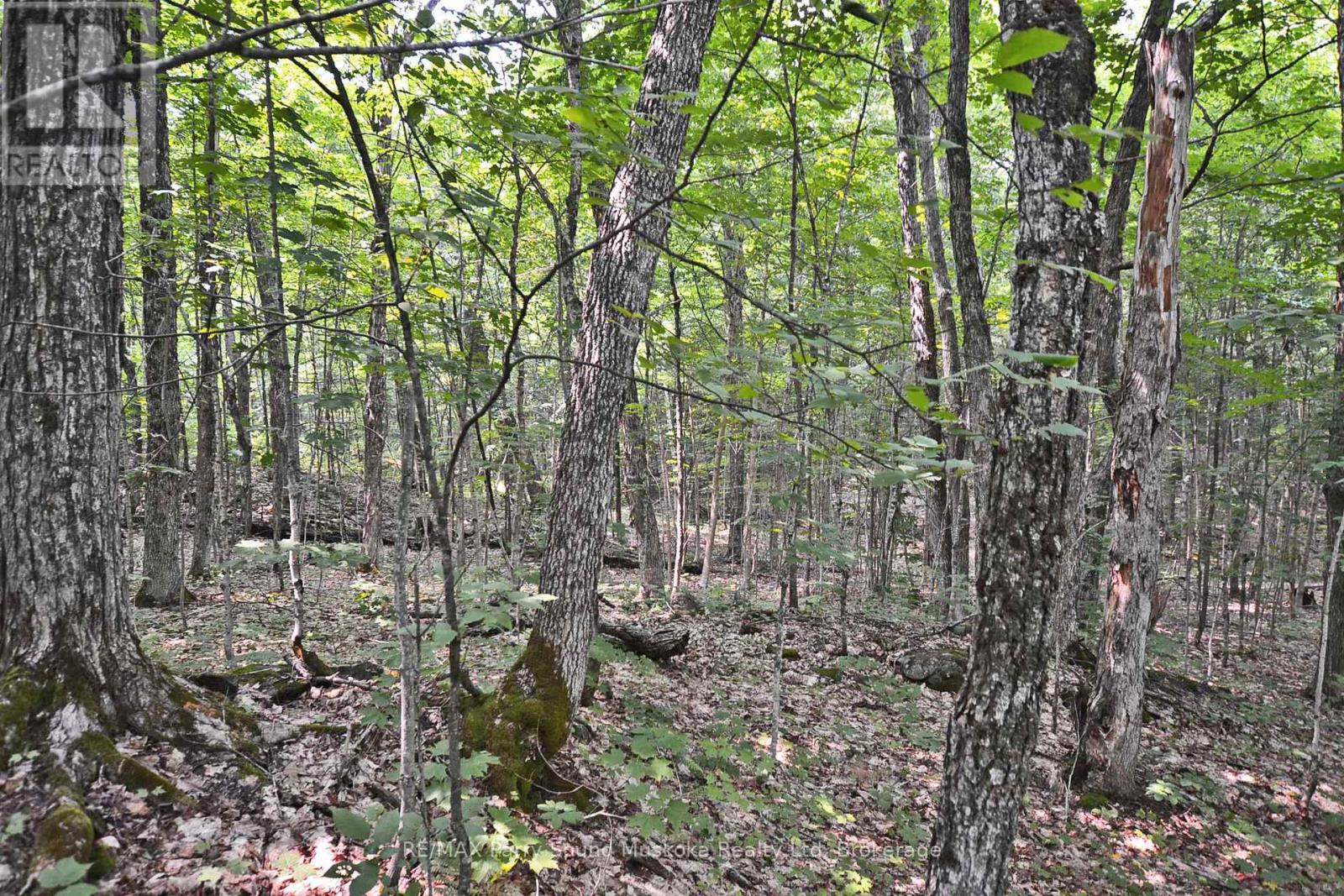 Part 1 - 0 Lyndsey Lane, Mckellar, Ontario  P2A 0B5 - Photo 16 - X11997179