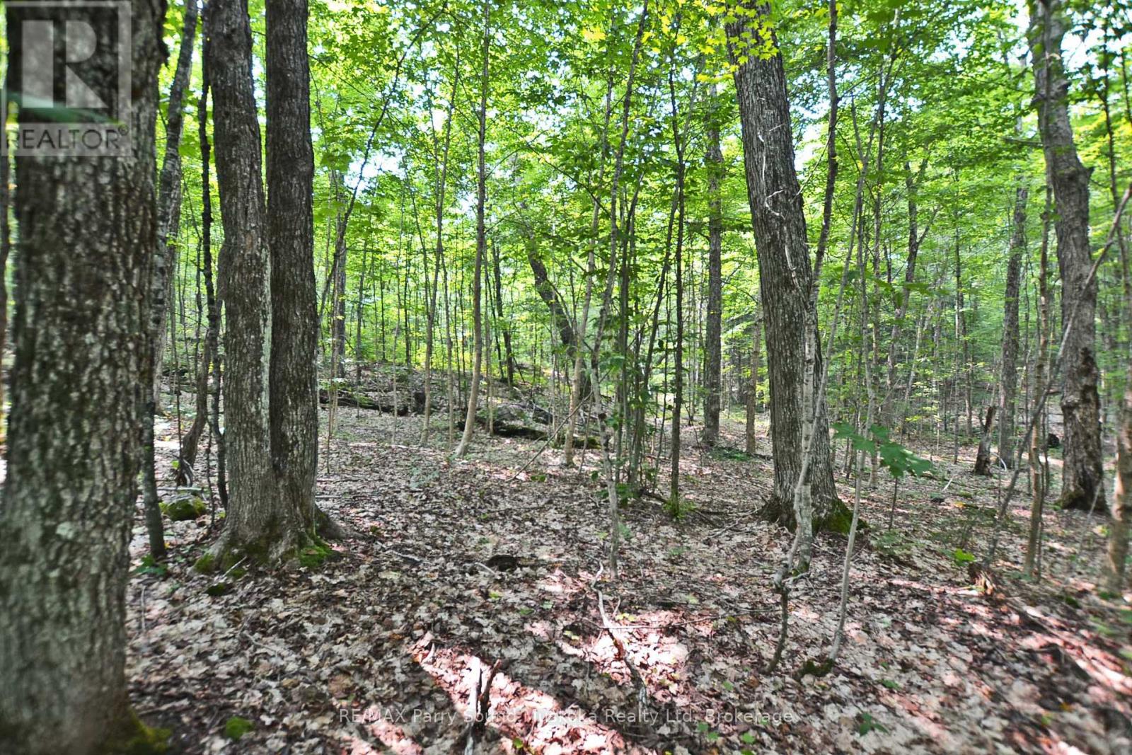 Part 1 - 0 Lyndsey Lane, Mckellar, Ontario  P2A 0B5 - Photo 17 - X11997179