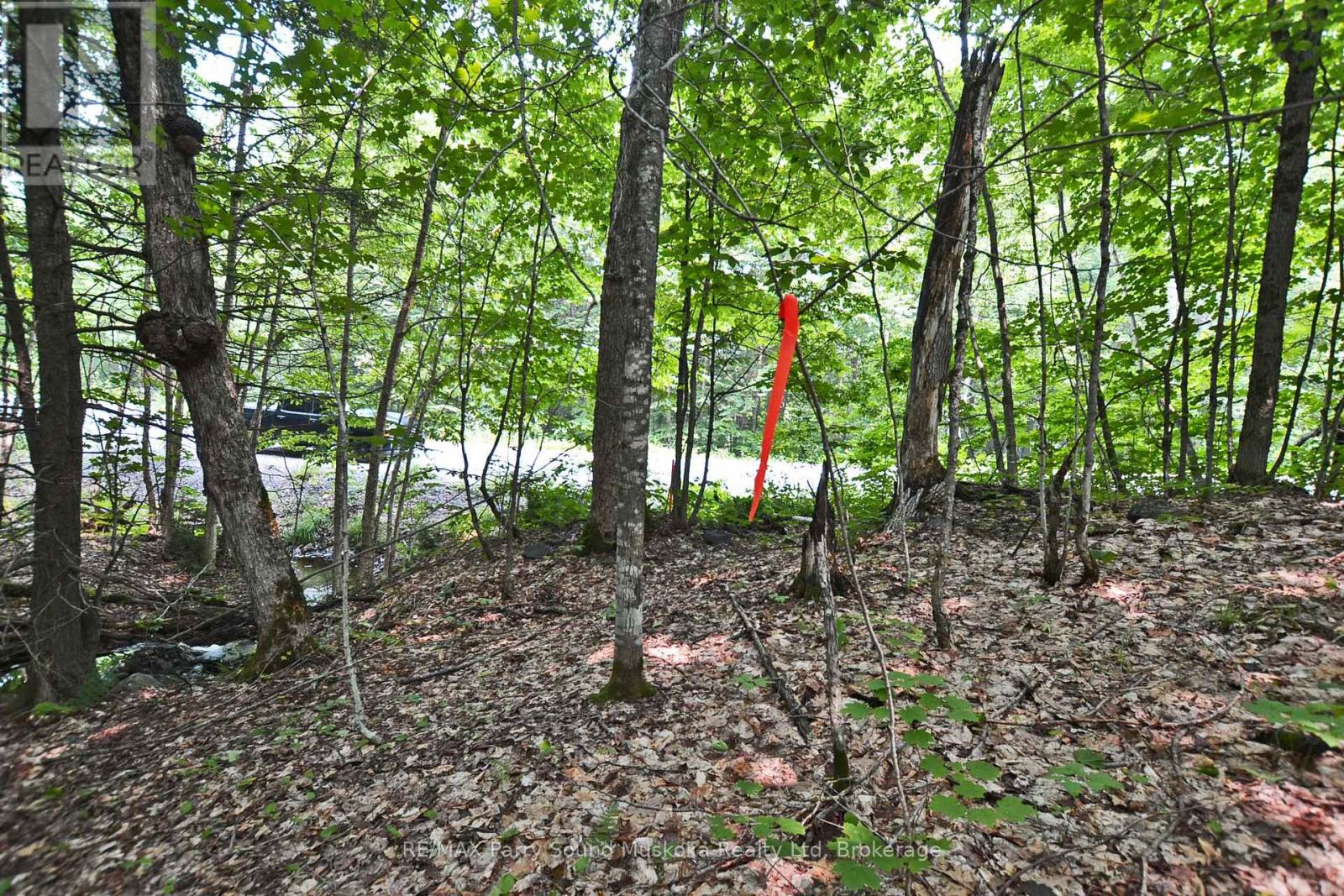 Part 1 - 0 Lyndsey Lane, Mckellar, Ontario  P2A 0B5 - Photo 19 - X11997179