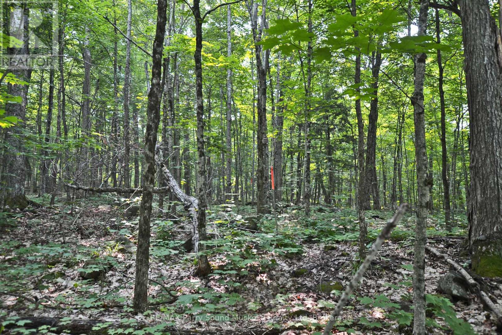 Part 1 - 0 Lyndsey Lane, Mckellar, Ontario  P2A 0B5 - Photo 2 - X11997179