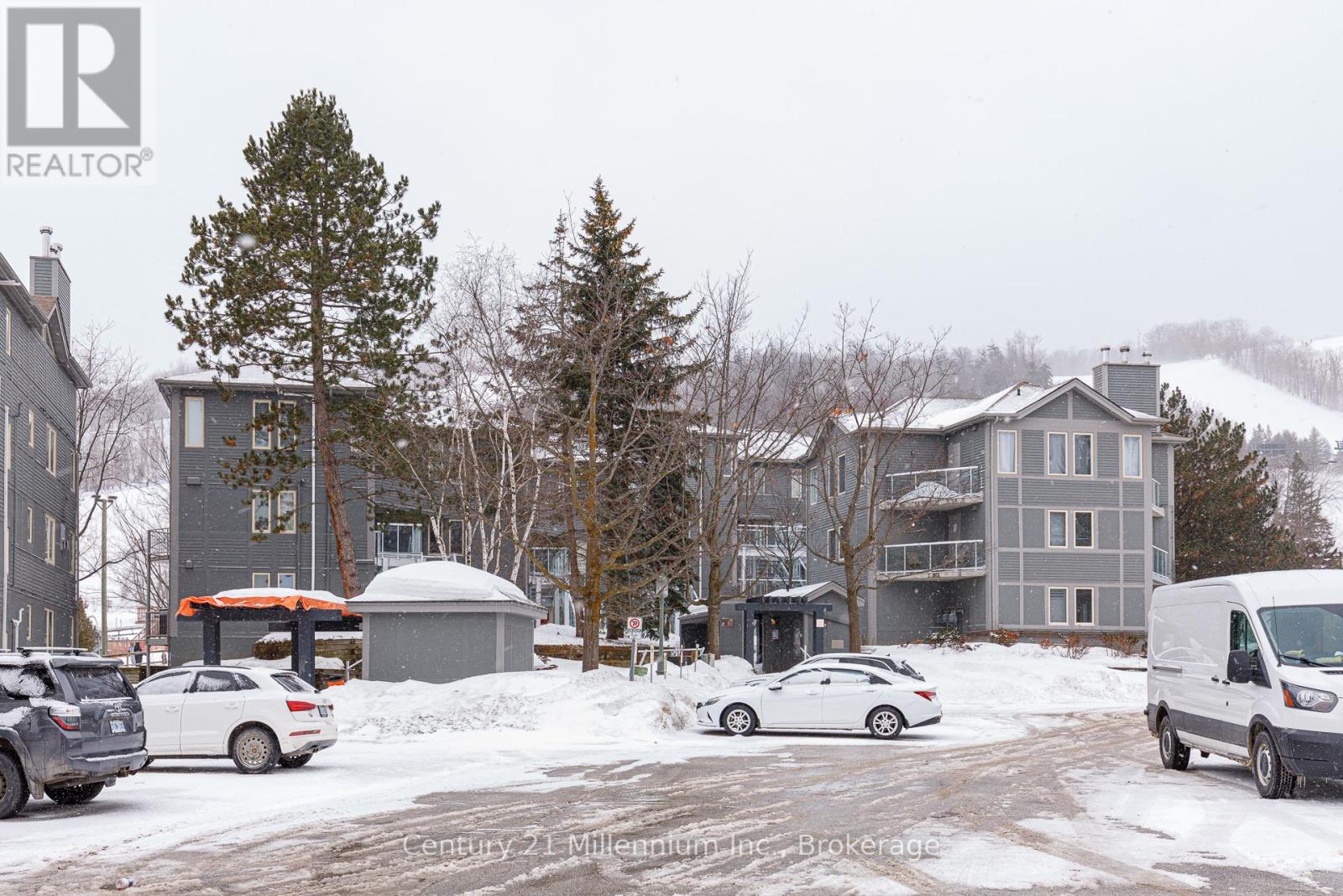 212 - 107 Ann Heggtveit Drive, Blue Mountains, Ontario  L9Y 0P7 - Photo 29 - X12002088