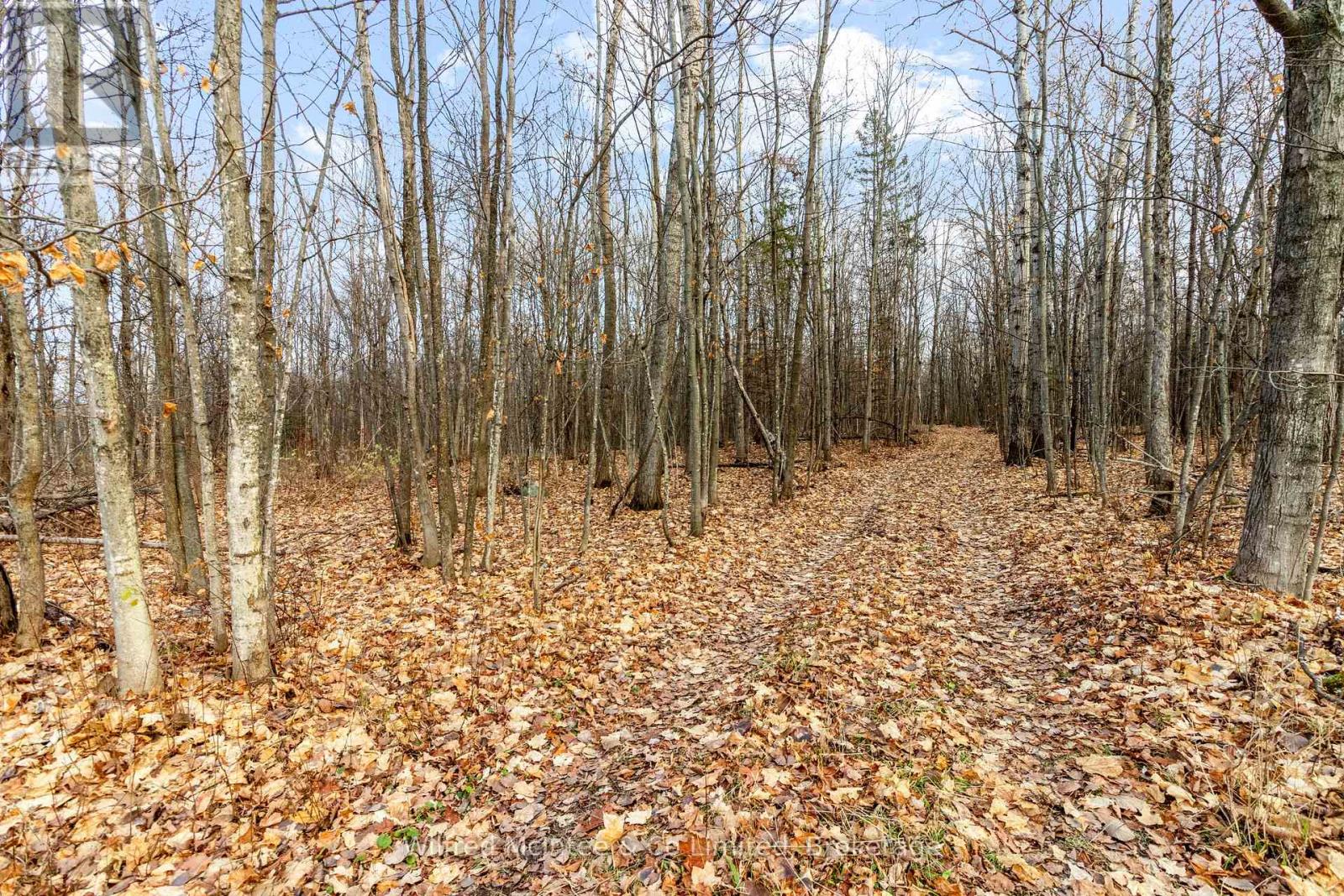 15339 6 Highway, Assiginack, Ontario  P0P 1N0 - Photo 37 - X12004344