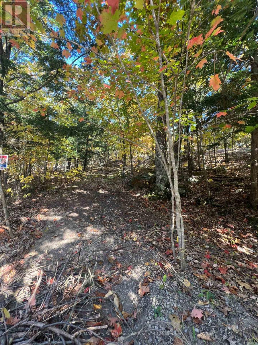 13 Ridgeway Drive, Carling, Ontario  P0G 1G0 - Photo 25 - X12004632