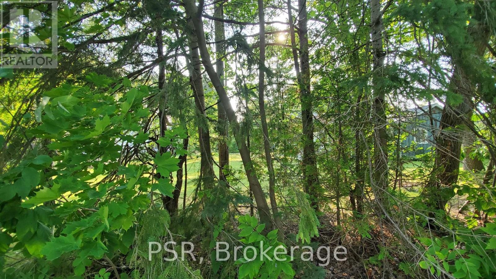 Lot 59 47th Street S, Wasaga Beach, Ontario  L9Z 1Y6 - Photo 6 - S12006033
