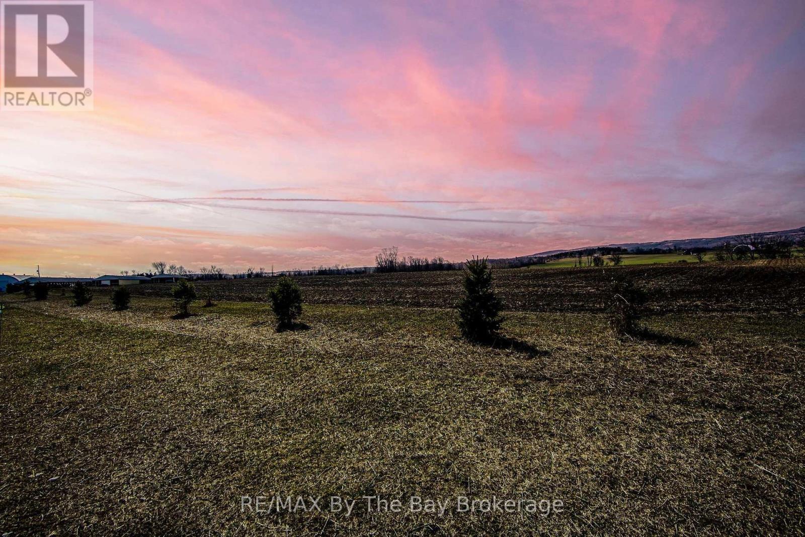 828482 Mulmur Nottawasaga T Line, Mulmur, Ontario  L9V 0N9 - Photo 42 - X12011929