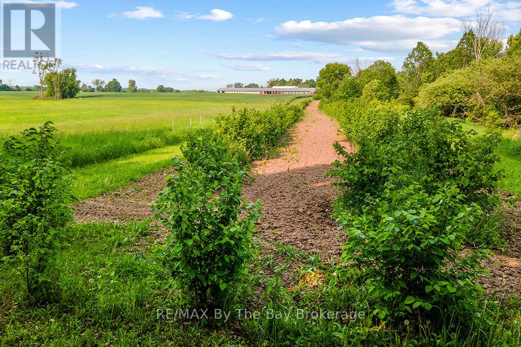 828482 Mulmur Nottawasaga T Line, Mulmur, Ontario  L9V 0N9 - Photo 43 - X12011929