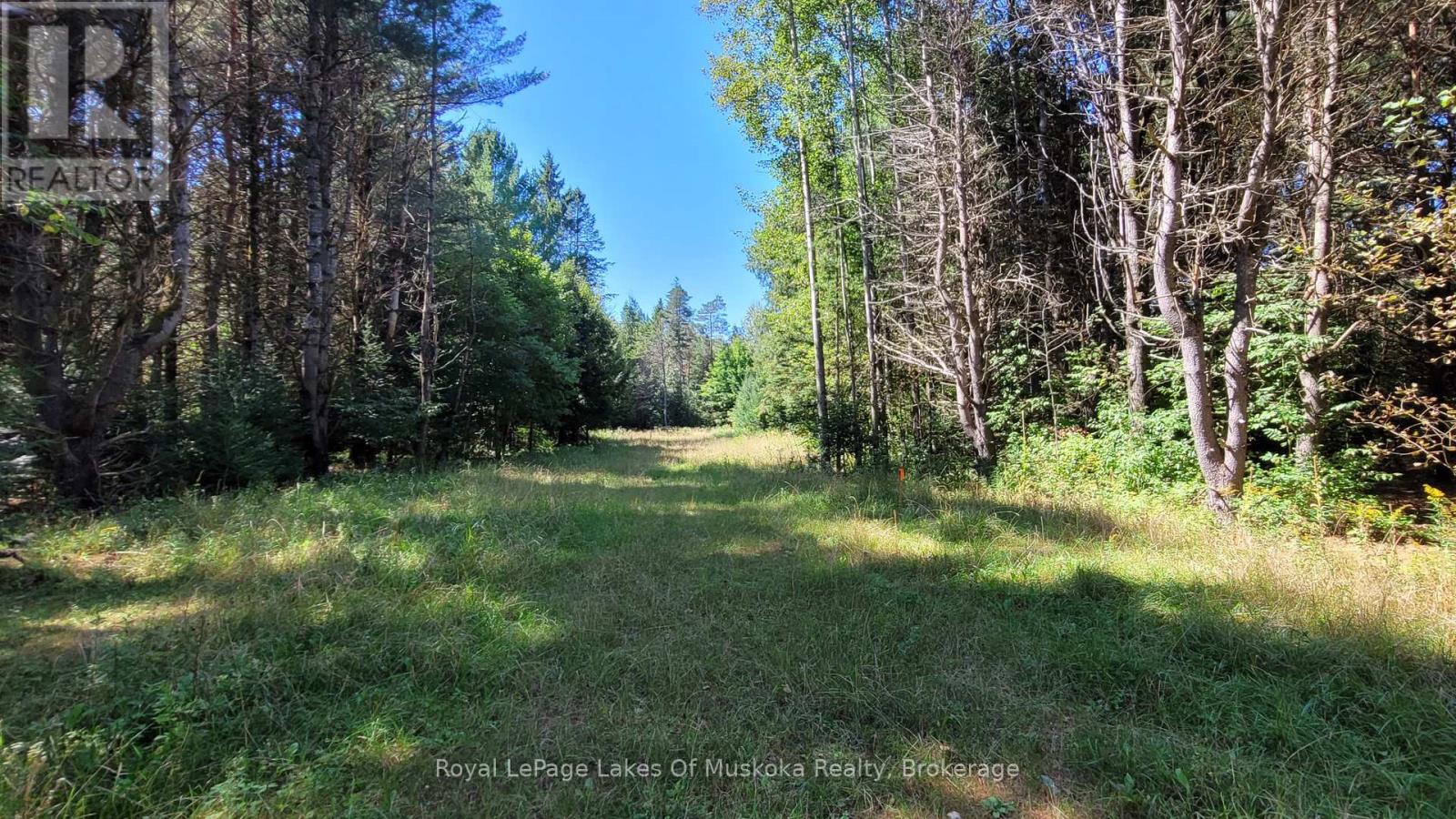 1059 Ablett Court, Algonquin Highlands, Ontario  K0M 1J0 - Photo 11 - X12016168