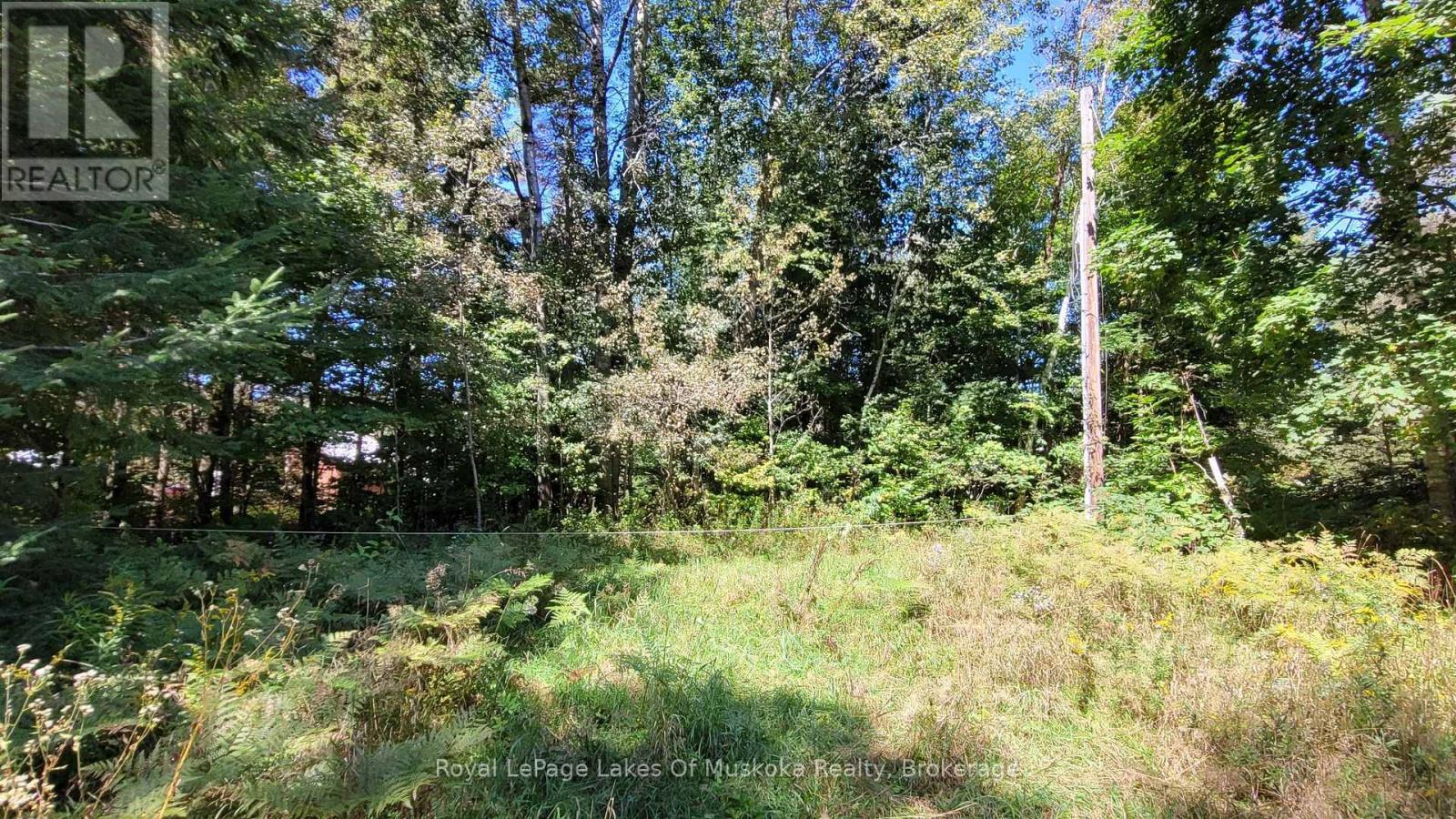 1059 Ablett Court, Algonquin Highlands, Ontario  K0M 1J0 - Photo 5 - X12016168