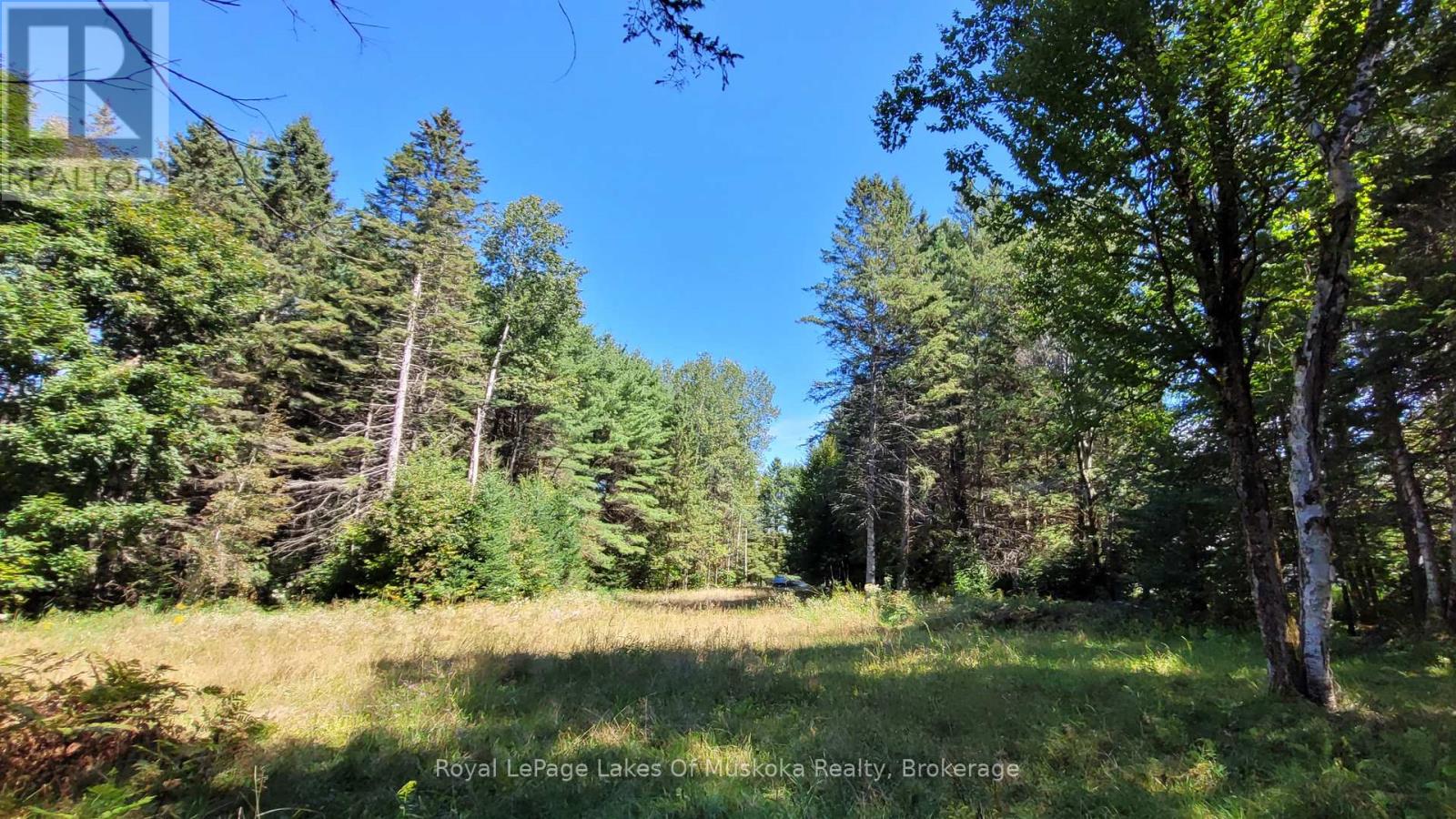 1059 Ablett Court, Algonquin Highlands, Ontario  K0M 1J0 - Photo 8 - X12016168
