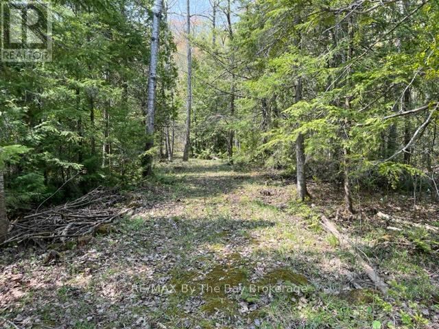 191-193 Mallory Beach Road, South Bruce Peninsula, Ontario  N0H 2T0 - Photo 3 - X12016374