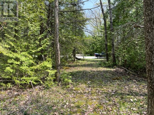 191-193 Mallory Beach Road, South Bruce Peninsula, Ontario  N0H 2T0 - Photo 7 - X12016374