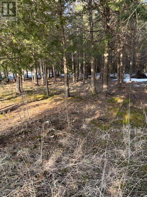 1 Southgate Srd 57 Road N, Southgate, Ontario  N0G 2L0 - Photo 2 - X12022624