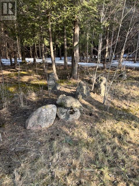 1 Southgate Srd 57 Road N, Southgate, Ontario  N0G 2L0 - Photo 3 - X12022624