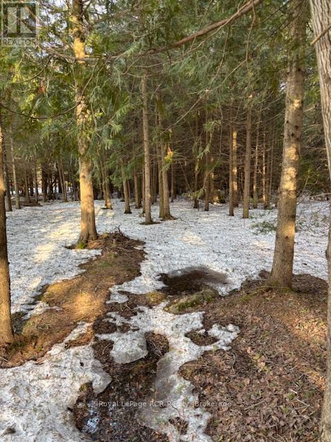 1 Southgate Srd 57 Road N, Southgate, Ontario  N0G 2L0 - Photo 4 - X12022624