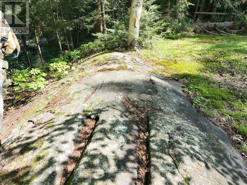 30945 Kawagama Lake Wao, Algonquin Highlands, Ontario  P0A 1E0 - Photo 19 - X12027775