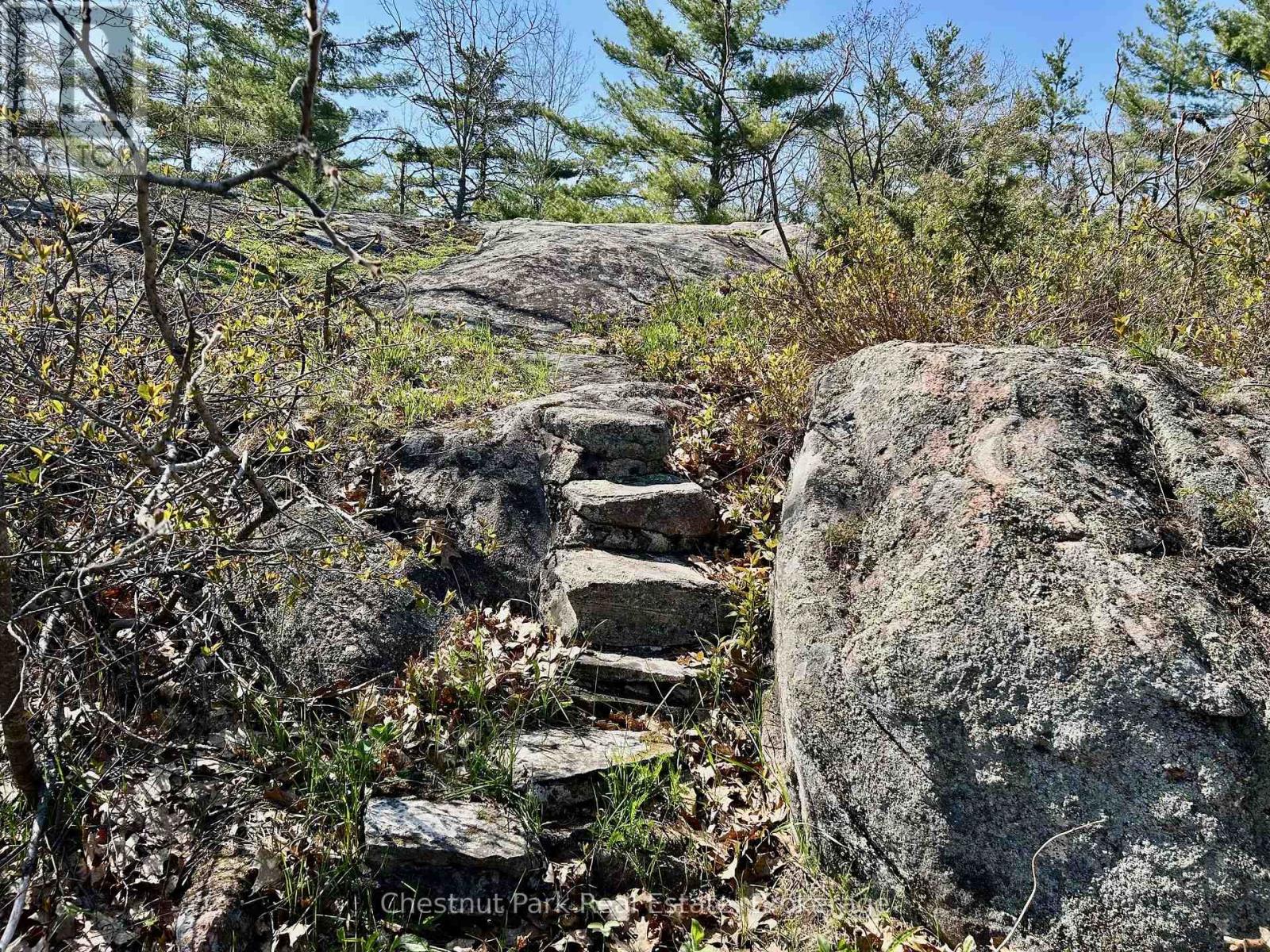 1 - 1-1051 Wigwam Lodge Road, Gravenhurst, Ontario  P1P 1V5 - Photo 25 - X12030158