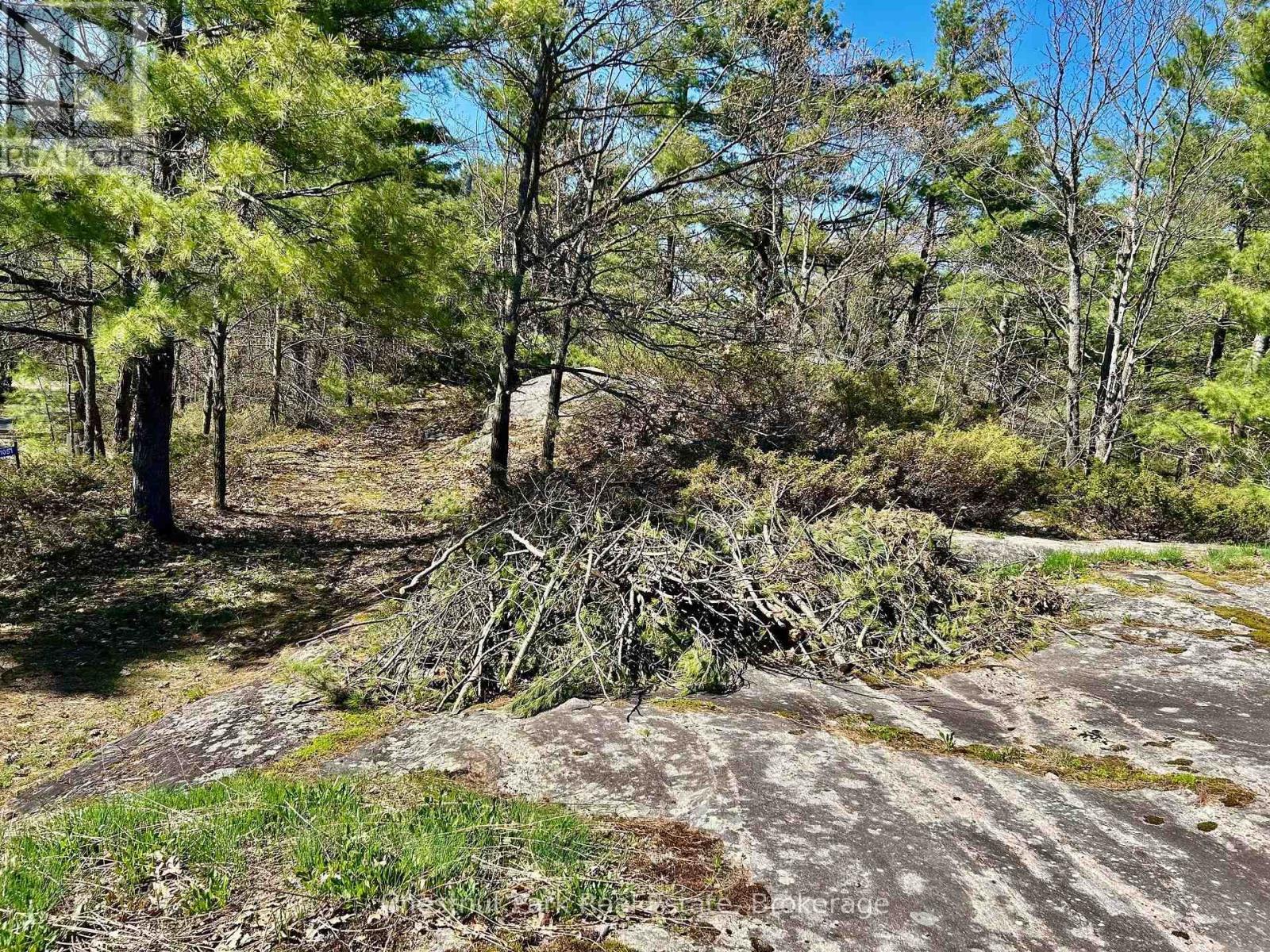 1 - 1-1051 Wigwam Lodge Road, Gravenhurst, Ontario  P1P 1V5 - Photo 26 - X12030158