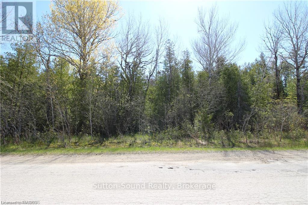 Lot 5 Sunset Drive, Northern Bruce Peninsula, Ontario  N0H 1X0 - Photo 5 - X12033455