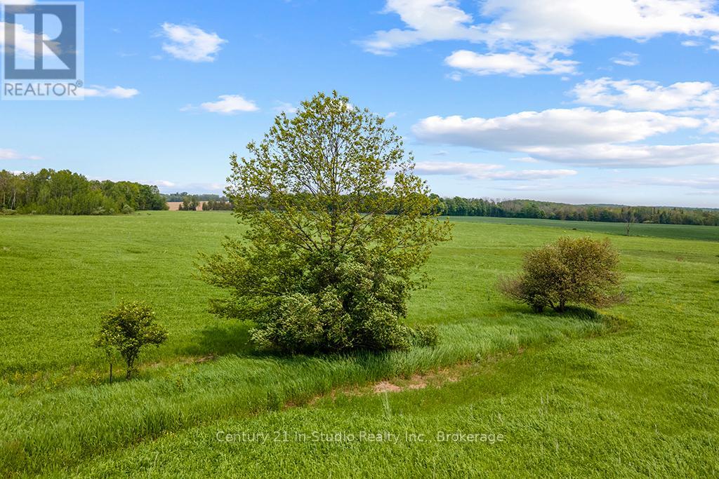 381103 Concession Road 4 Ndr, West Grey, Ontario  N4N 3B9 - Photo 4 - X12033764