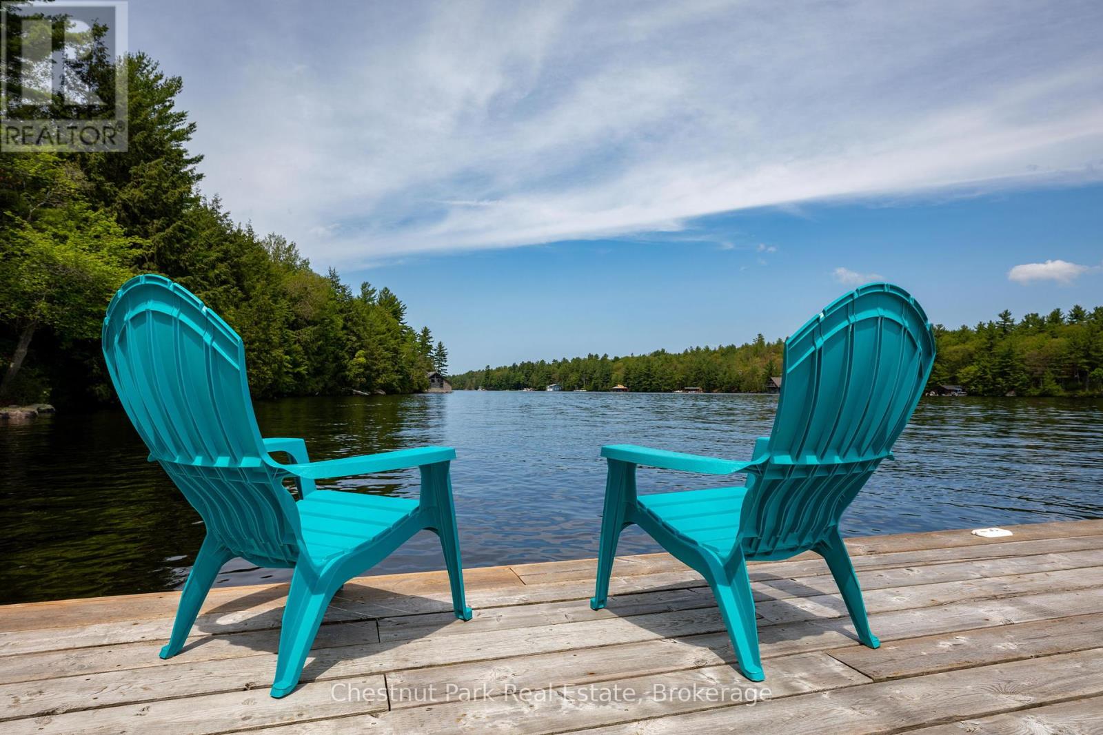 29 Island 26lm, Gravenhurst, Ontario  P1P 1R2 - Photo 4 - X12035465