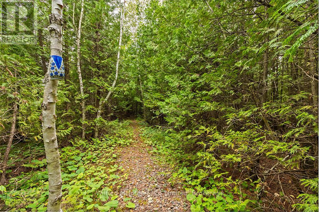 1489 2nd Avenue S, Native Leased Lands, Ontario  N0H 2G0 - Photo 40 - X12036889