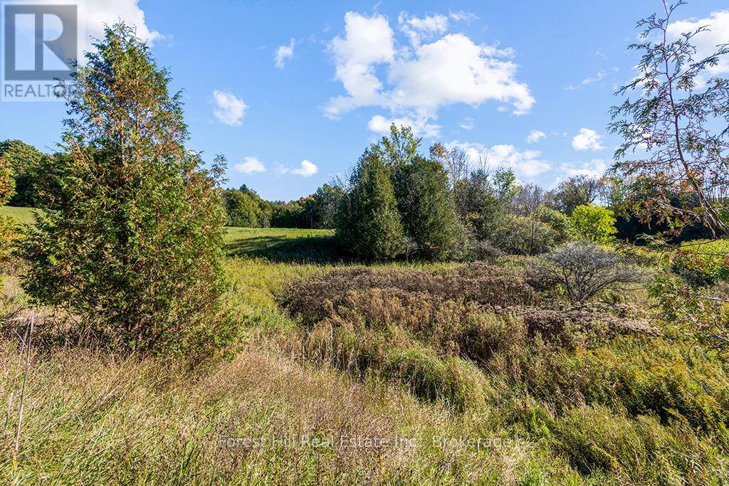 Ptlt3 2 Concession, Meaford, Ontario  N0H 1G0 - Photo 12 - X12038022