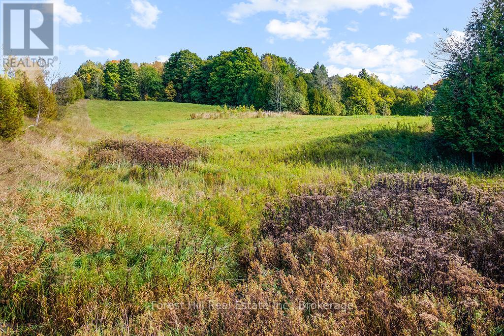 Ptlt3 2 Concession, Meaford, Ontario  N0H 1G0 - Photo 15 - X12038022