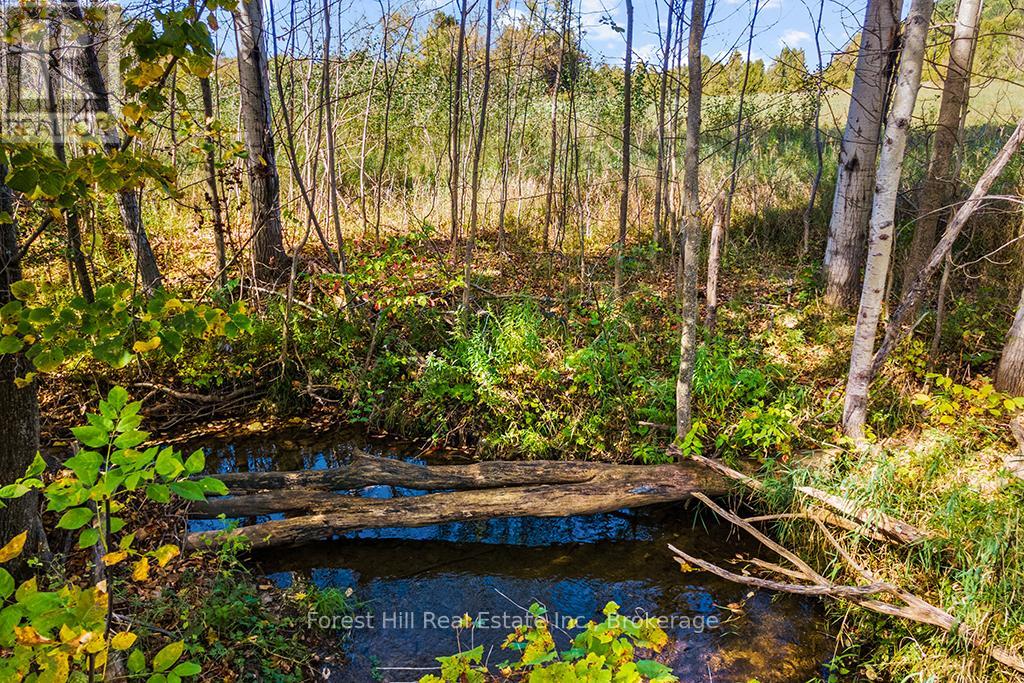 Ptlt3 2 Concession, Meaford, Ontario  N0H 1G0 - Photo 24 - X12038022