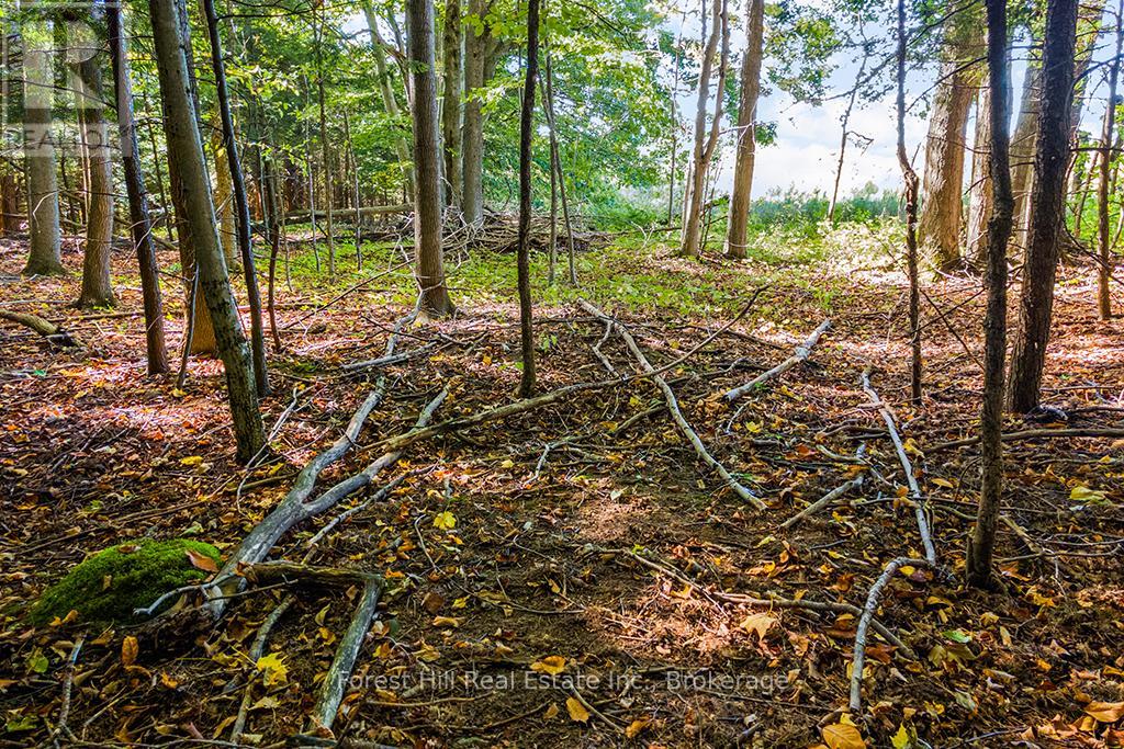 Ptlt3 2 Concession, Meaford, Ontario  N0H 1G0 - Photo 27 - X12038022