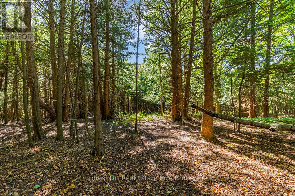 Ptlt3 2 Concession, Meaford, Ontario  N0H 1G0 - Photo 4 - X12038022