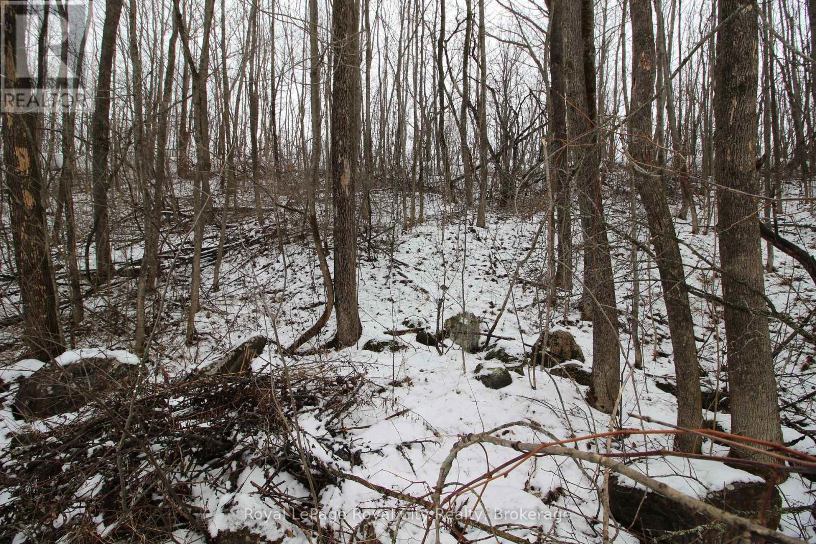 Pt Lt 37 Con 3 Macintosh Drive, Georgian Bluffs, Ontario  N0H 1S0 - Photo 8 - X12040048
