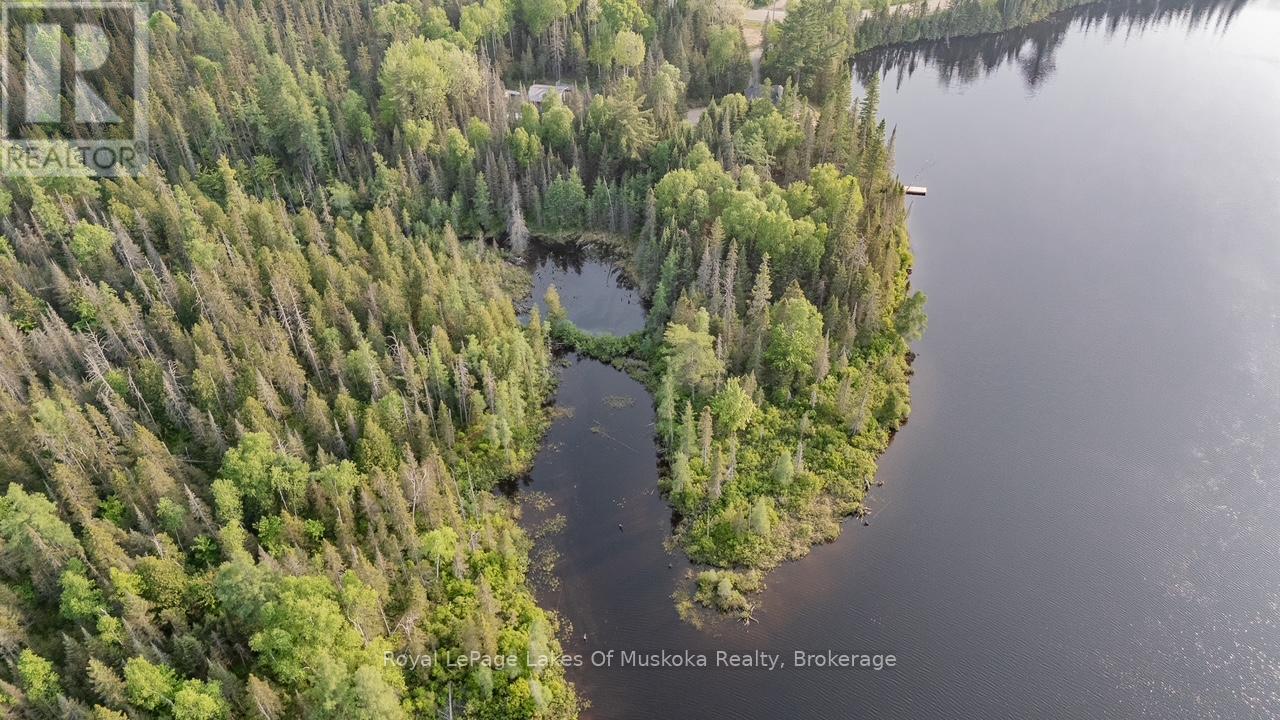 763 Sand Hill Road, South River, Ontario  P0A 1X0 - Photo 41 - X12051664