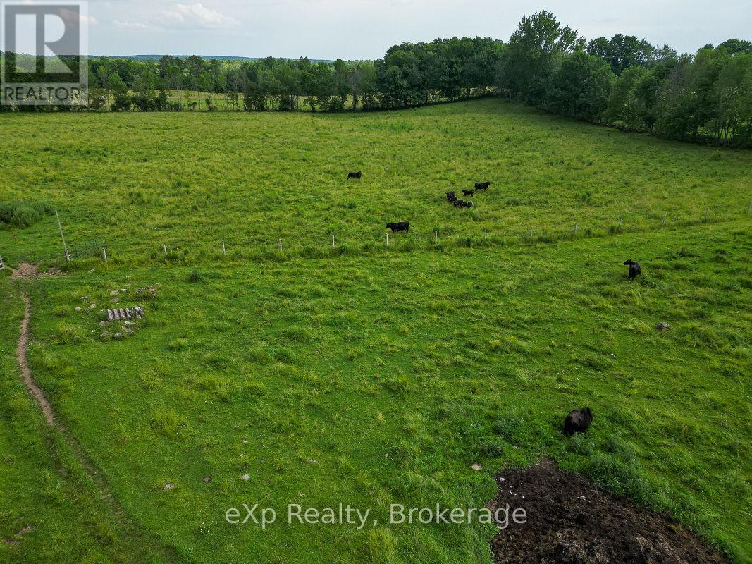 845064 Deviation Road, Grey Highlands, Ontario  N4L 1W5 - Photo 46 - X12055842