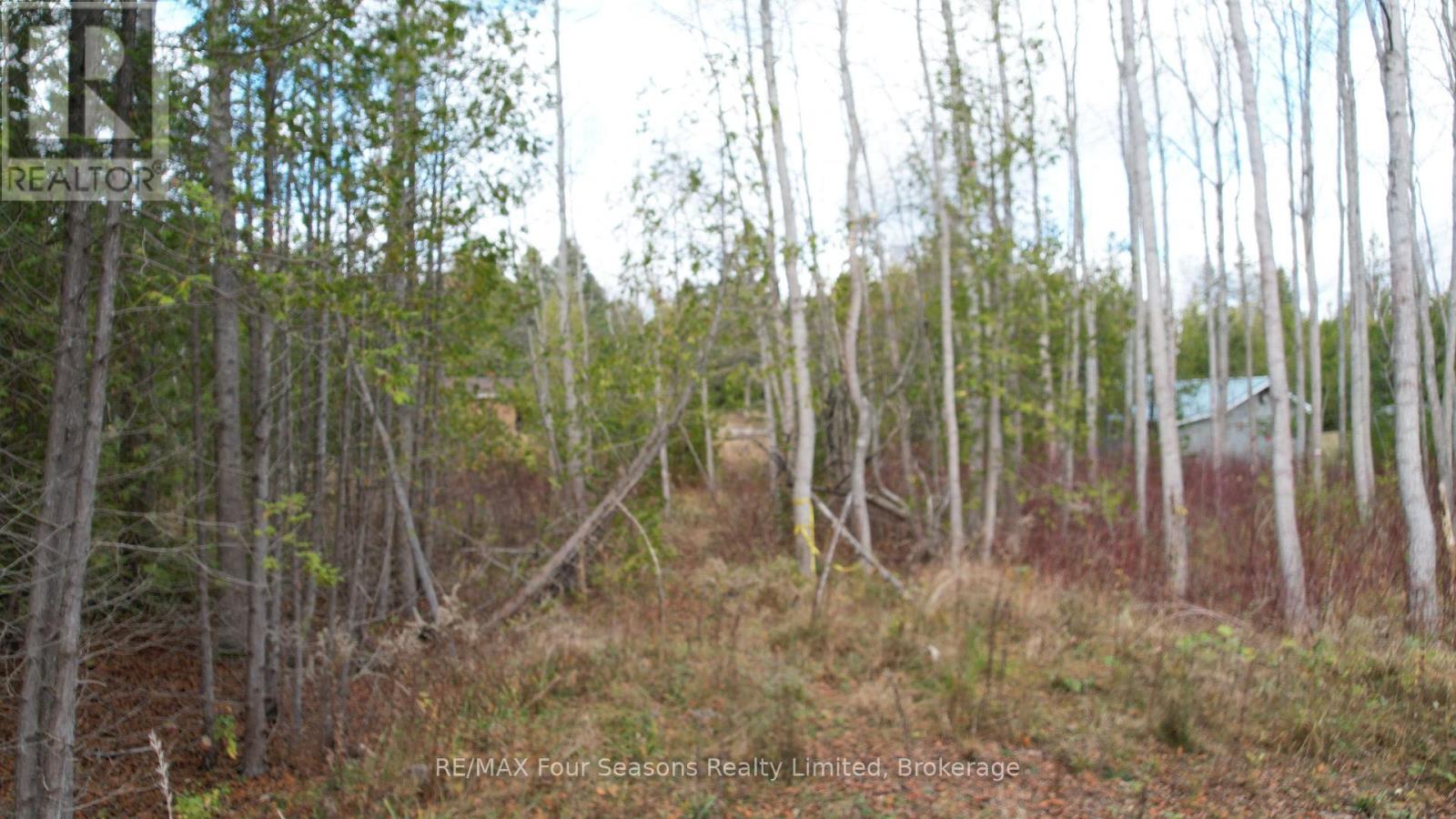Lot 69-70 Isabella Street, South Bruce Peninsula, Ontario  N0H 2T0 - Photo 4 - X12056068