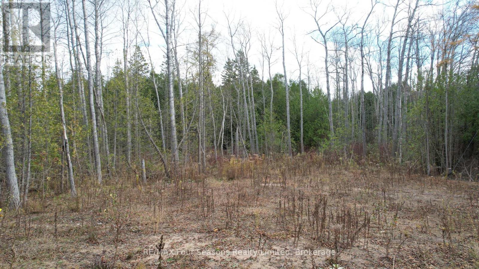 Lot 69-70 Isabella Street, South Bruce Peninsula, Ontario  N0H 2T0 - Photo 5 - X12056068