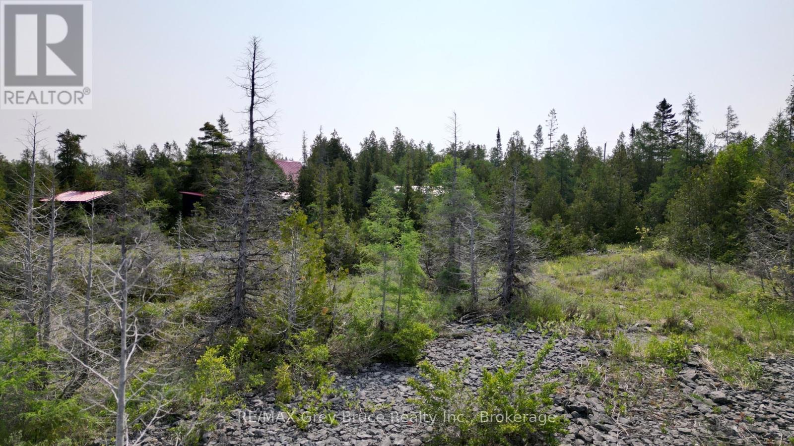 94 Pedwell Pt. Drive, Northern Bruce Peninsula, Ontario  N0H 2R0 - Photo 18 - X12058098