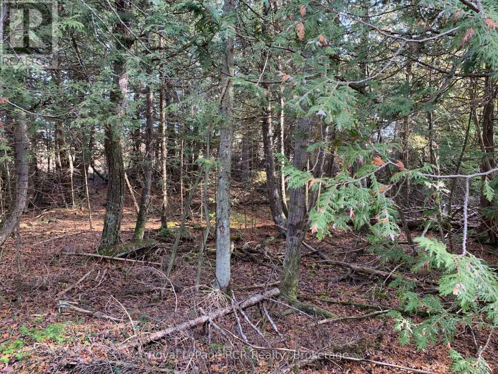 153 Mcdonough Lane 1-10 Lane, Northern Bruce Peninsula, Ontario  N0H 1W0 - Photo 10 - X12059643