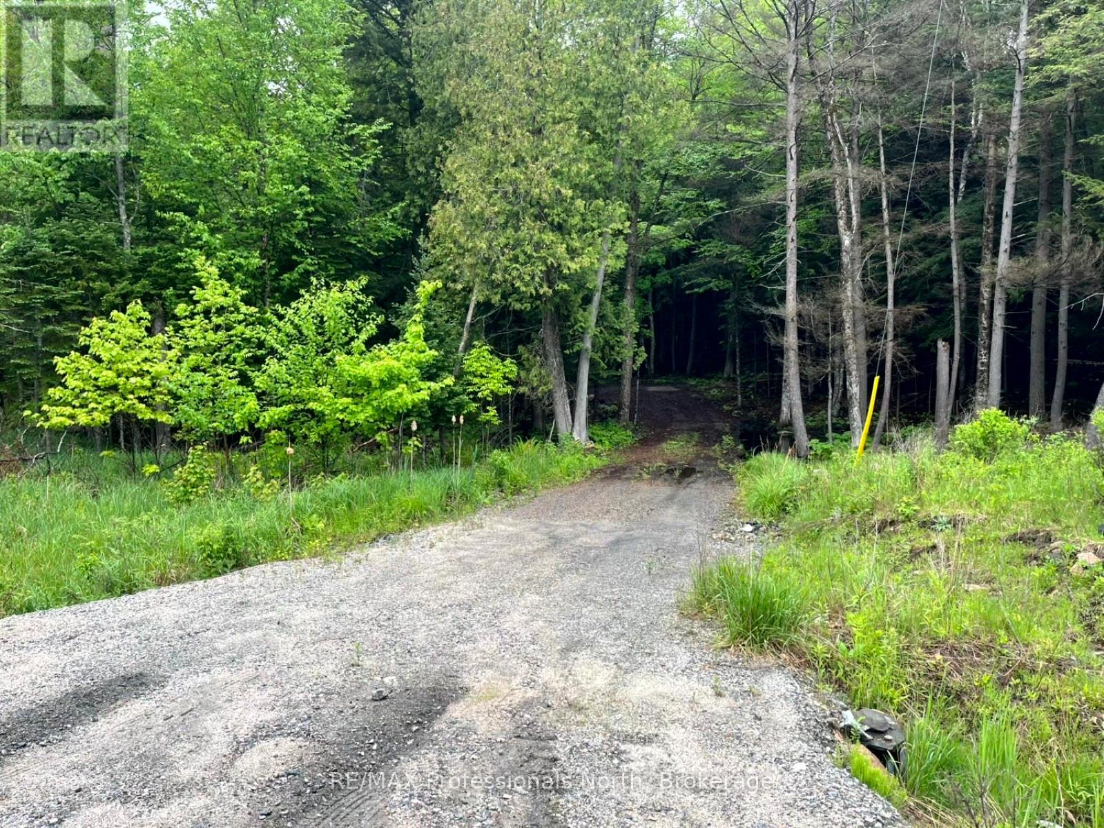 Tbd County 21 Road, Minden Hills, Ontario  K0M 2K0 - Photo 9 - X12061540