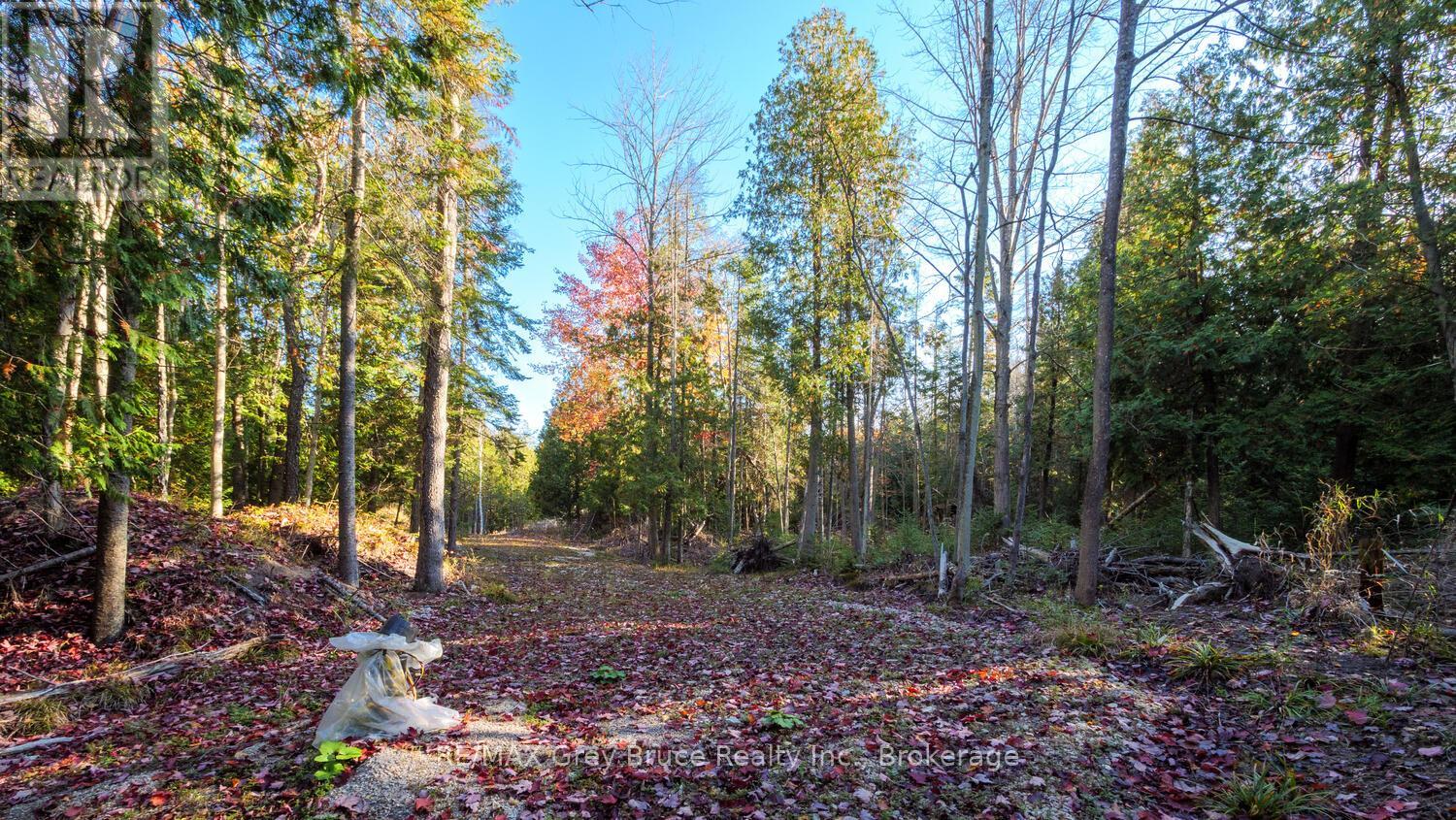 Part Lot 37 Con D Sauble Falls Parkway, South Bruce Peninsula, Ontario  N0H 2G0 - Photo 10 - X12062389