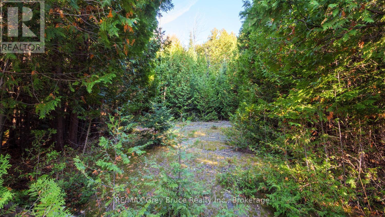 Part Lot 37 Con D Sauble Falls Parkway, South Bruce Peninsula, Ontario  N0H 2G0 - Photo 12 - X12062389