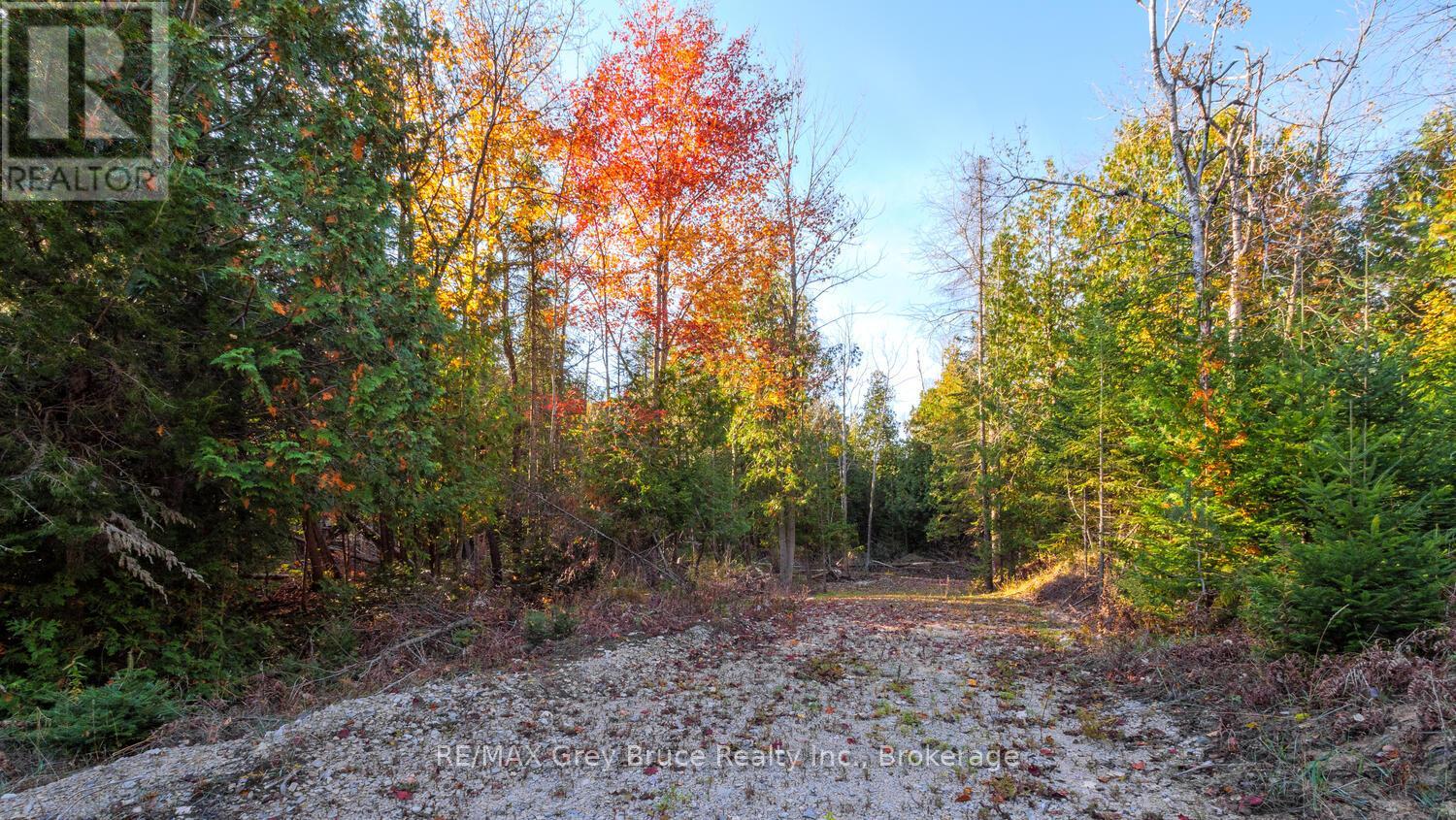 Part Lot 37 Con D Sauble Falls Parkway, South Bruce Peninsula, Ontario  N0H 2G0 - Photo 13 - X12062389