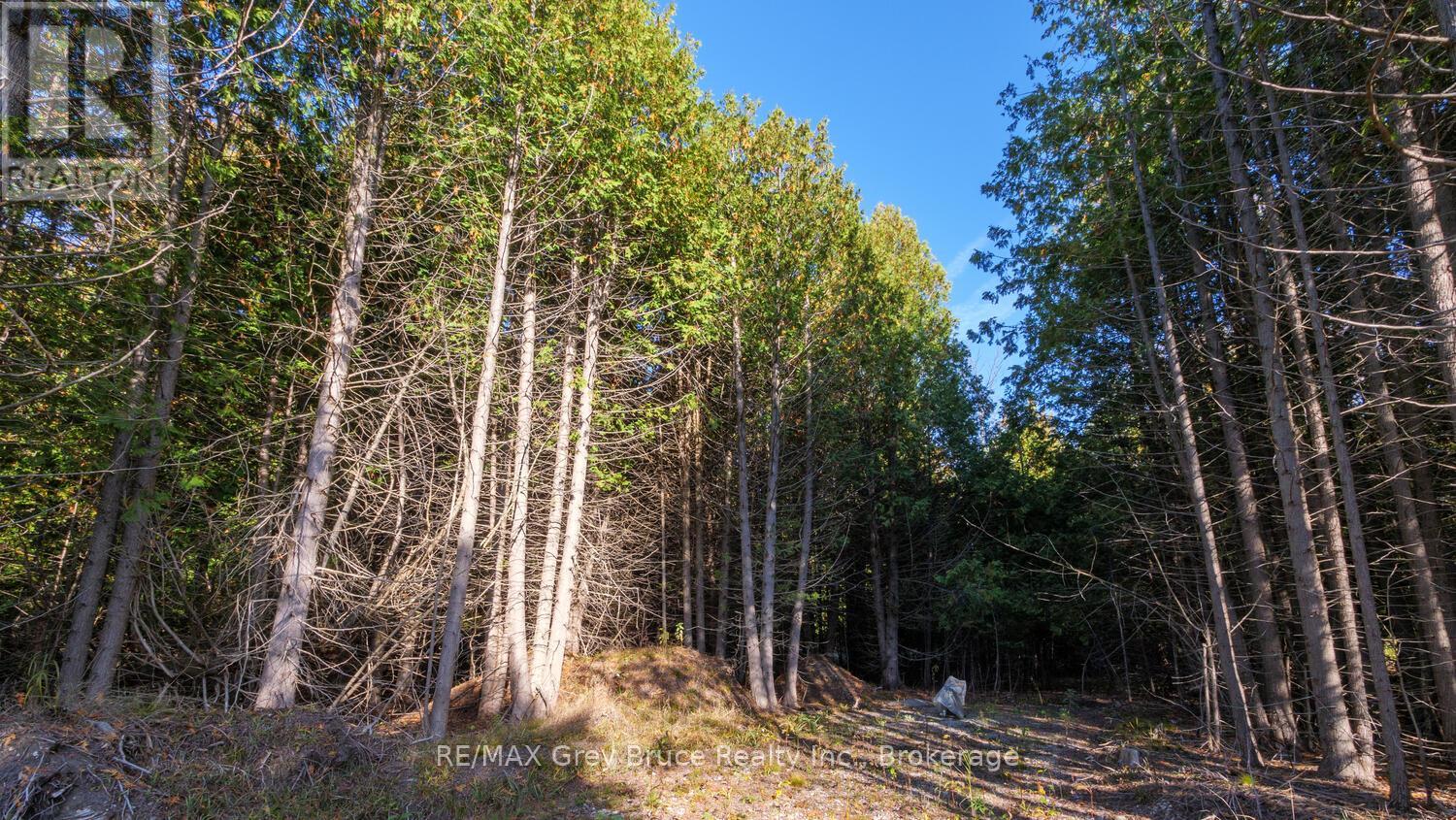 Part Lot 37 Con D Sauble Falls Parkway, South Bruce Peninsula, Ontario  N0H 2G0 - Photo 16 - X12062389