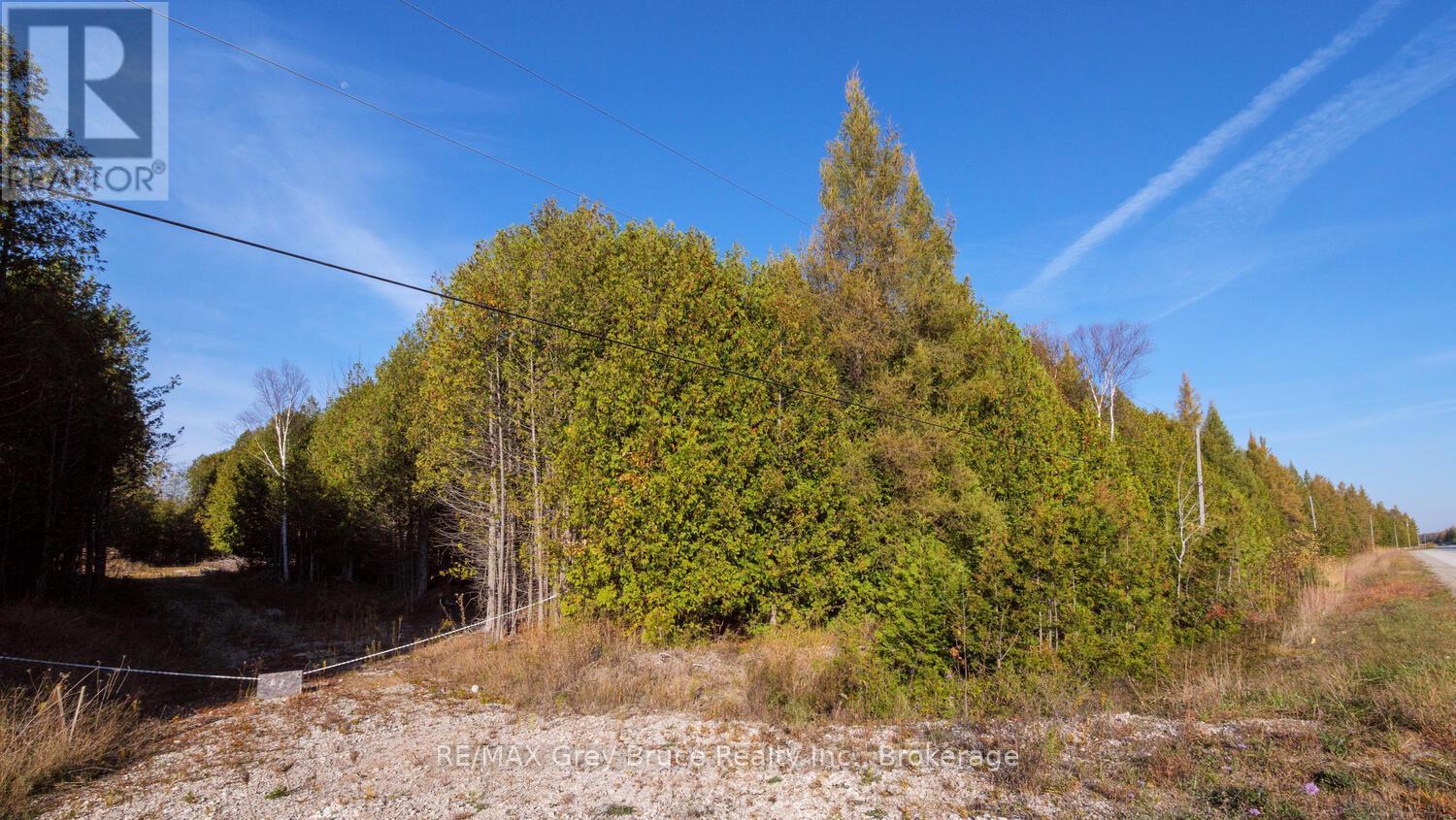 Part Lot 37 Con D Sauble Falls Parkway, South Bruce Peninsula, Ontario  N0H 2G0 - Photo 18 - X12062389