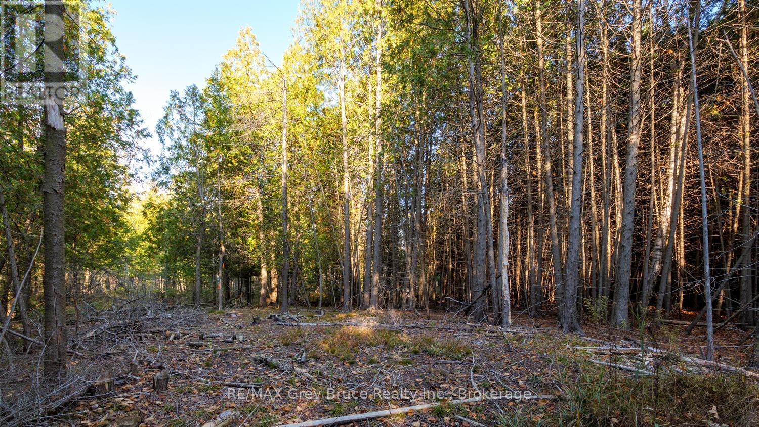 Part Lot 37 Con D Sauble Falls Parkway, South Bruce Peninsula, Ontario  N0H 2G0 - Photo 7 - X12062389